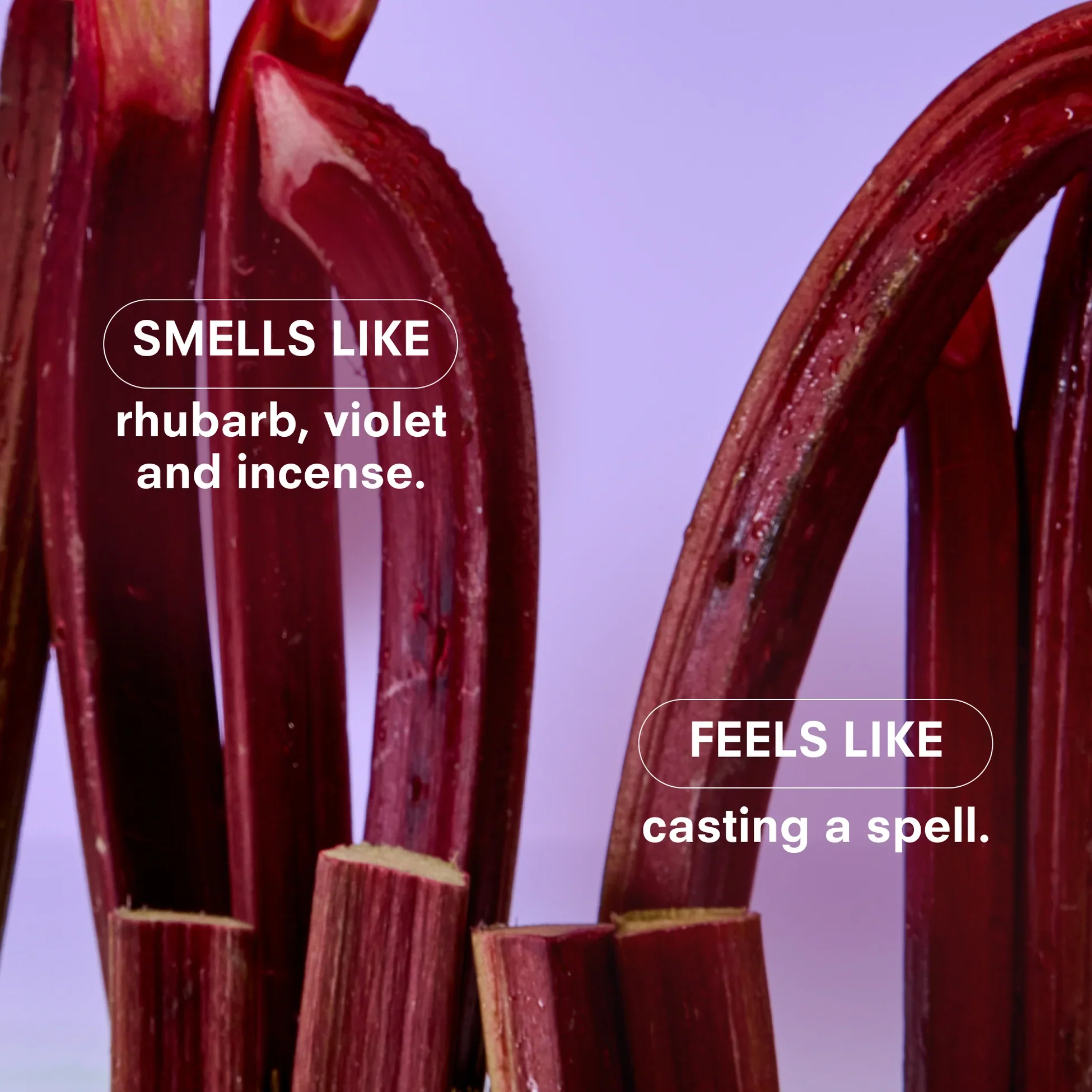 Violet Ends Candle - Image 5